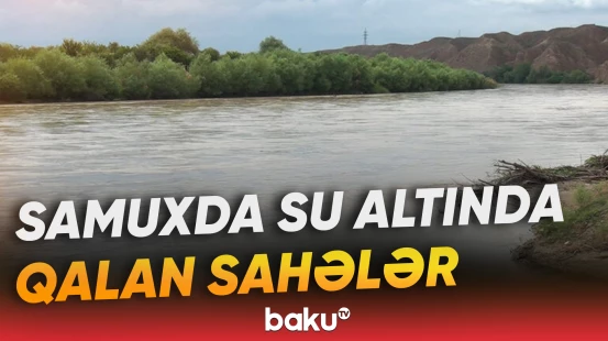 Kür daşdı, örüş sahələri su altında qaldı
