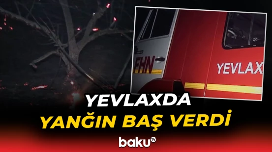 Yevlaxda yolkənarı açıq ərazidə yanğın oldu