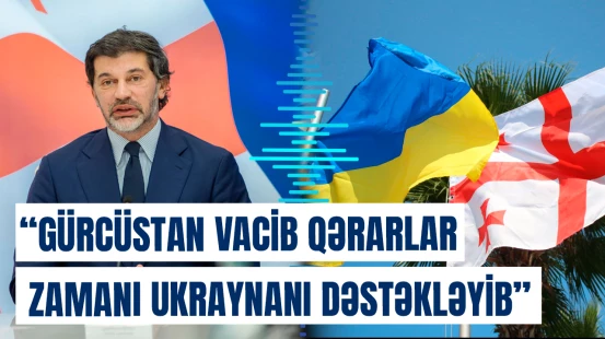 Gürcüstan vacib qərarlar zamanı Ukraynanı dəstəkləyib | Kaxa Kaladze