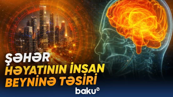Şəhər həyatının insan beyninə təsiri