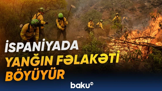 İspaniyada yanğınlar 38 min hektardan çox ərazini külə çevirib