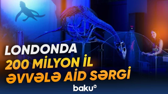 Yura dövrünün nəhəng okean canlıları nümayiş etdilir