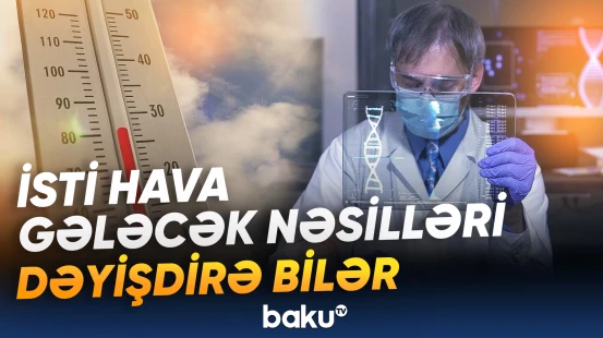 Alimlərdən maraqlı araşdırma