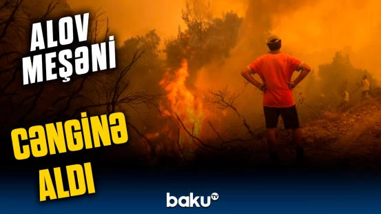 Vezuvi Milli Parkında meşə yanğınları