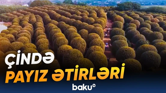 "Yaxınlaşan kimi ecazkar ətir səni bürüyür" | Turist