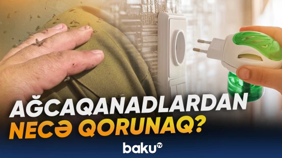 Ağcaqanadlardan qorunmağın ən yaxşı üsulu