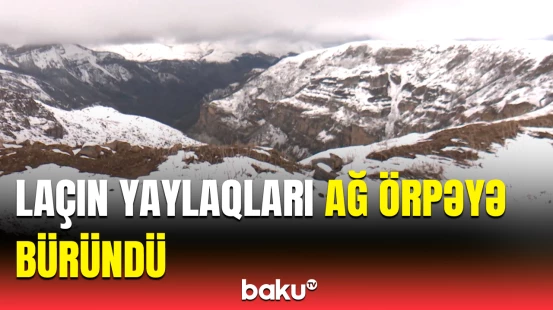 Laçından bəmbəyaz təbiət mənzərəsi | Güclü qar yağdı