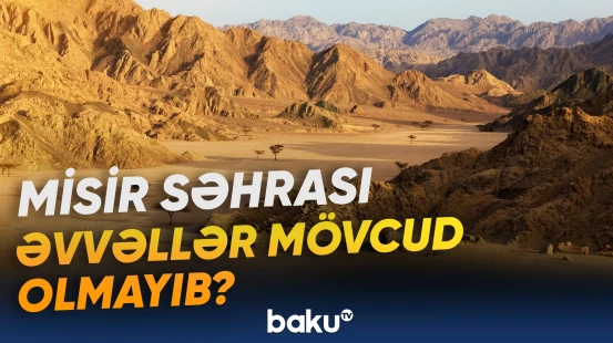 145 milyon il əvvələ aid qalıqlar aşkarlanıb
