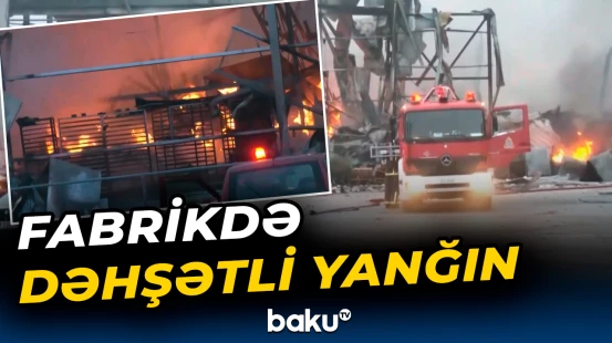 Yunanıstandakı yanğında 5 nəfər ölüb, 7 nəfər xəsarət alıb
