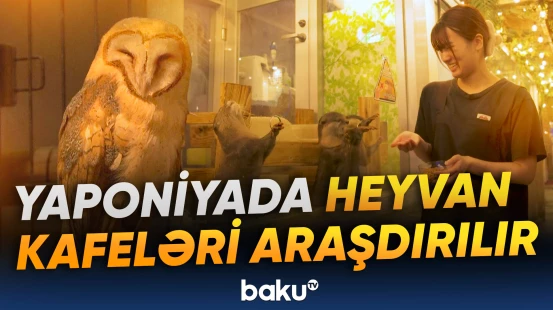Sorğu yarana biləcək sağlamlıq riskləri ilə bağlıdır