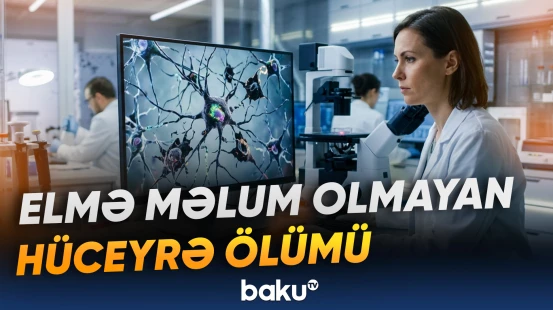 Neyrodegenerativ xəstəliklərə nə səbəb olur?
