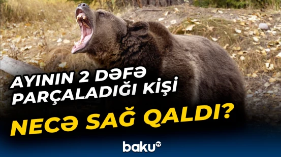 Ayını qorxutmağa çalışan kişinin başına görün nələr gəldi