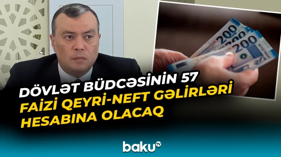 "Ciddi bir vergi artımından danışmaq yanlış yanaşmadır" | Maliyyə naziri
