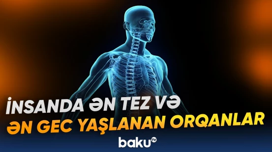 “21 yaşdan etibarən timus vəzi funksiyasını itirməyə başlayır” | Həkim