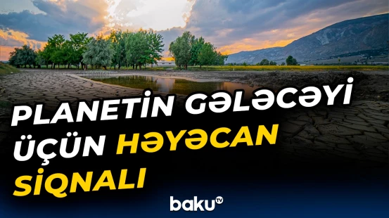 Qlobal istiləşmənin qarşısını necə almaq olar?