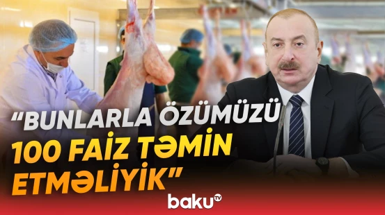 Prezident İlham Əliyev hökumətə tapşırıq verib - Baku TV