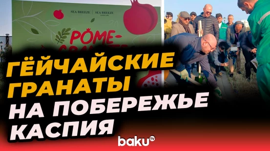 На берегу Каспия высадили Гранатовый бульвар