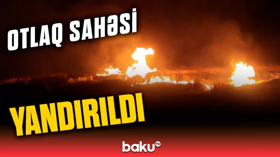 Yanğının ətrafdakı meşəlik və yaşayış sahələrinə keçməsinin qarşısı alınıb