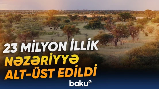 Yer üzünün ən quraq səhrası ilə bağlı yeni faktlar üzə çıxdı