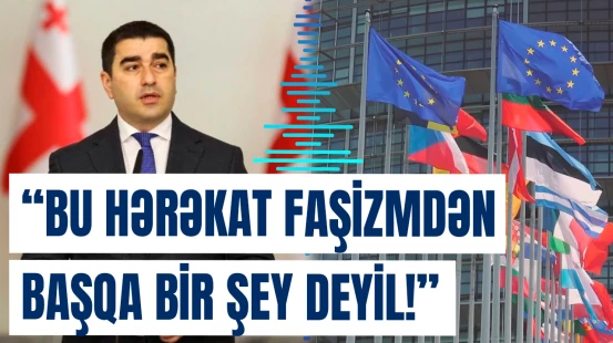Avropa İttifaqı Gürcüstana qarşı faşist kimi davranır | Papuaşvili