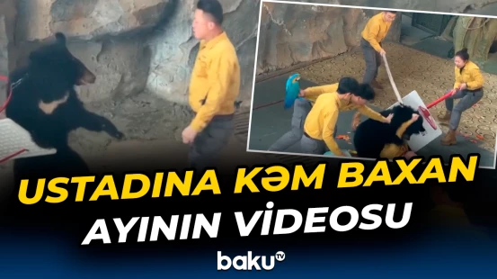 Çində qorxulu anlar | Ayı təlimçisinə hücum etdi