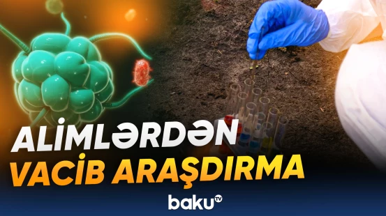 Qlobal istiləşmə bakteriyaları çoxaldır?