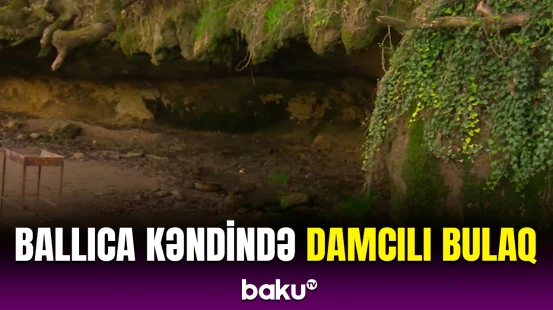Xocalıdan gözoxşayan təbiət mənzərəsi | Damcılı bulaq
