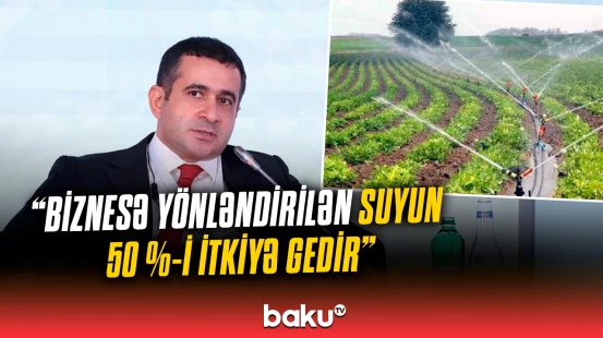 Təbii resursların səmərəli istifadə strategiyası