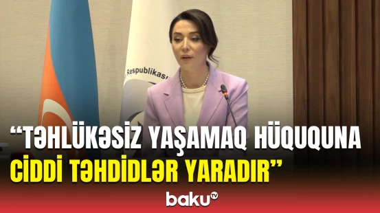 Ombudsman azad olunan ərazilərdəki mina problemindən danışdı