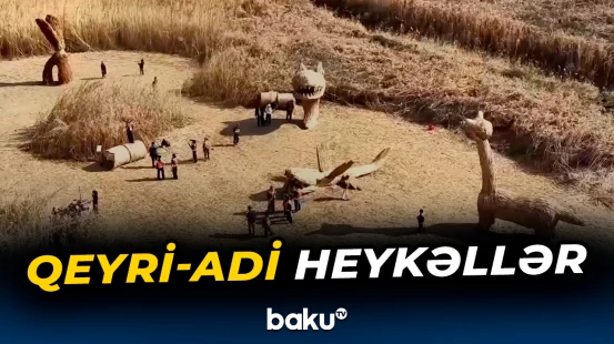 Qamışdan hazırlanan heykəllərin görüntüləri