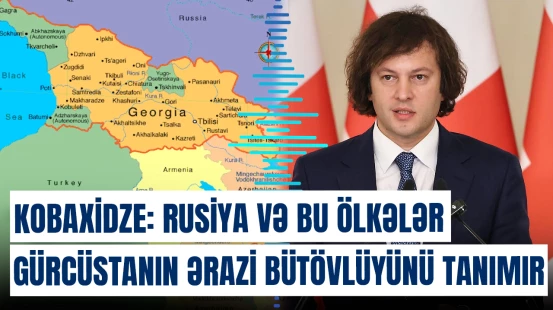 Kobaxidze: "Rusiya və bu ölkələr Gürcüstanın ərazi bütövlüyünü tanımır"