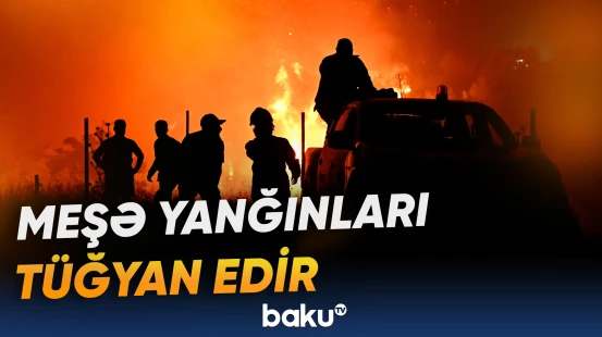 Yunanıstanda meşə yanğınları tüğyan edir