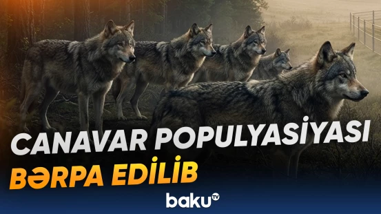 Fermerlərə mal-qaranın qorunması barədə xəbərdarlıq olunub