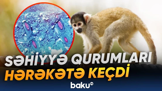 Honkonqda meymunçiçəyinə yeni yoluxma halları aşkarlanıb