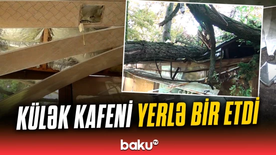 İsmayıllıda külək ağacı kafenin üstünə aşırdı