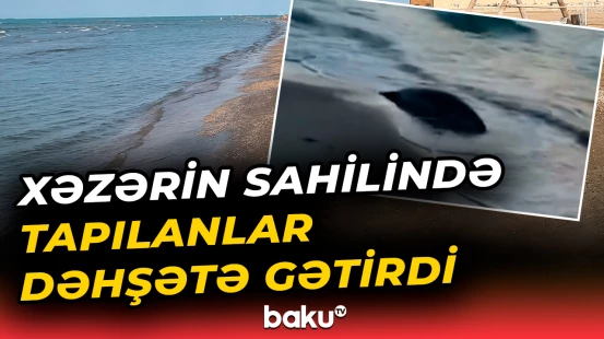 Xəzər dənizinin Qazaxıstan sahillərində görün nələr tapıldı
