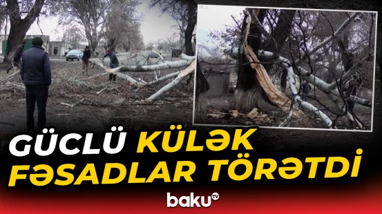 Güclü külək Goranboyda fəsadlara səbəb oldu