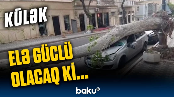 Güclü küləklə bağlı ciddi xəbərdarlıq