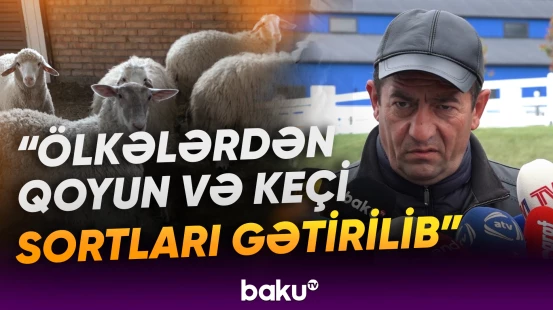 Laçının sənaye müəssisələri | Yaxın gələcək üçün hansı planlar nəzərdə tutulub? - Baku TV