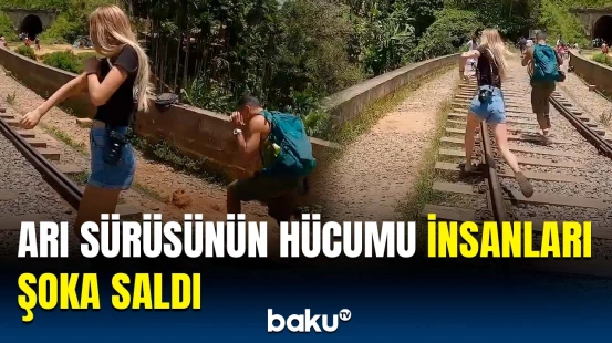 İnsanlar xəstəxanalıq oldu | Arıların hücumu qorxulu anlara səbəb oldu