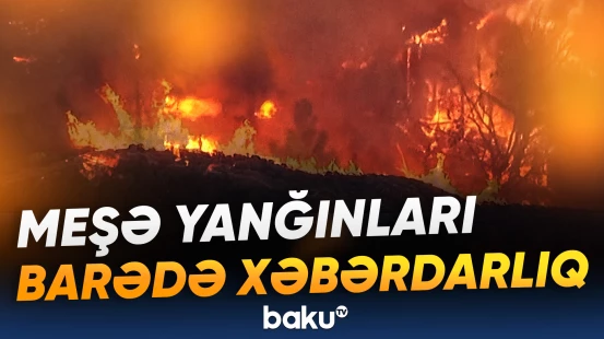 Bu il meşə yanğınları artacaq?