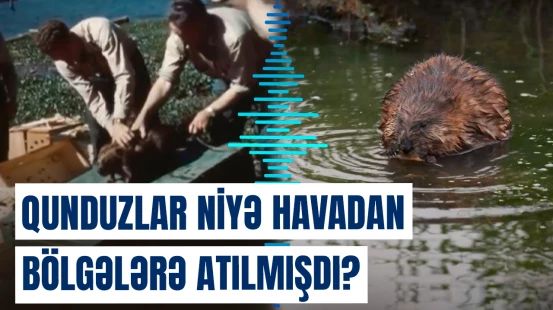 İkinci Dünya müharibəsindən sonra hansı sirlər üzə çıxdı?