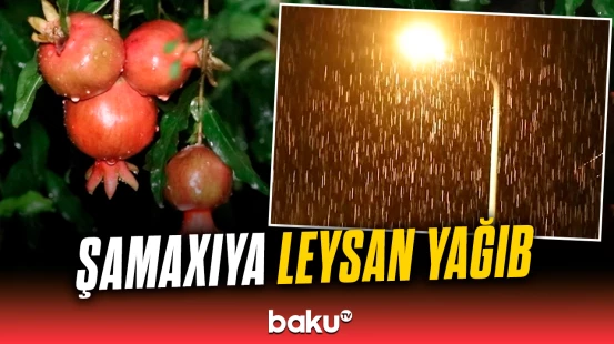 Azərbaycanın rayonlarında yağıntılı hava davam edir