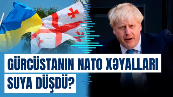 Gürcüstan və Ukraynanı aldadıb Rusiya ilə müharibəyə sövq etdilər | Papuaşvili