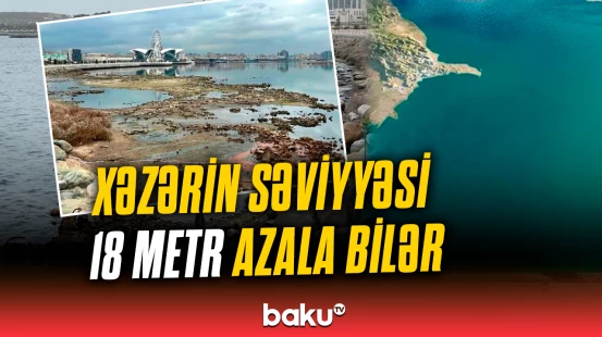 Dənizin Azərbaycan hissəsində 40 min hektar ərazi qurulaşıb | Rafiq Verdiyev