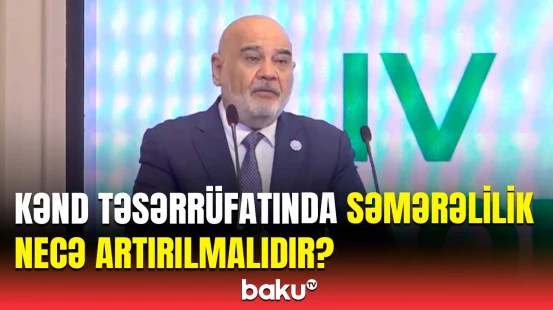Təsərrüfatda səmərəliliyi artırmağın yolu | BMT-nin nümayəndəsindən açıqlama