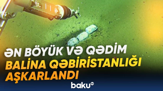 Bəzi qalıqların yaşı beş milyondan çoxdur