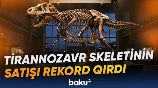 “Qus” 50,1 milyon dollara alıcı tapdı