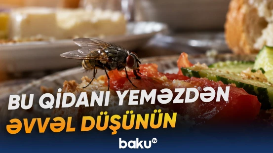 Milçəklər qidaya hansı təhlükəli mikrobları daşıya bilər?