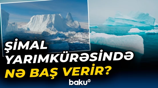 Alimlərdən həyəcan təbili: 30 ilə yox ola bilər